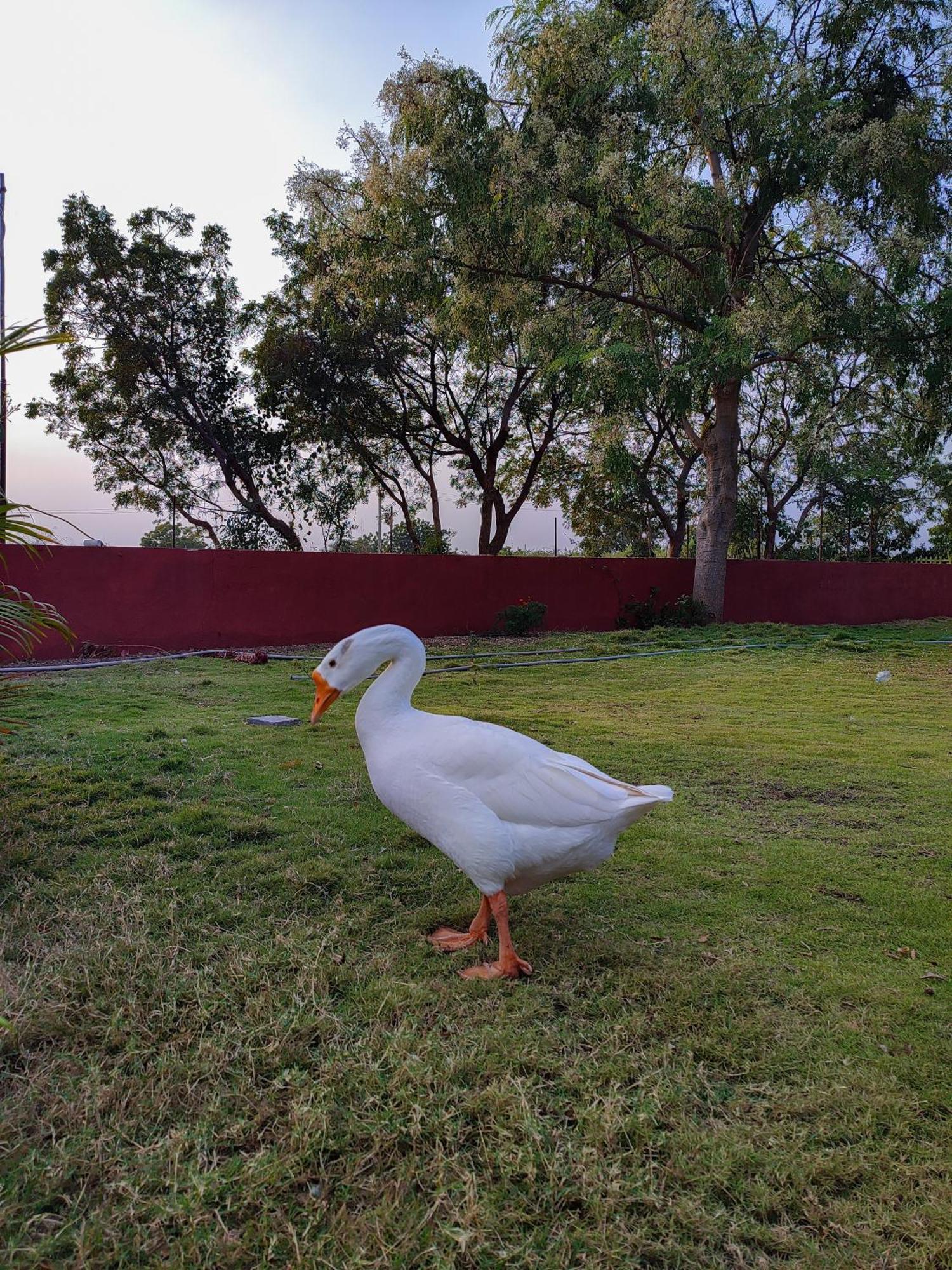 Van Vagdo Resort Rajpipla Luaran gambar