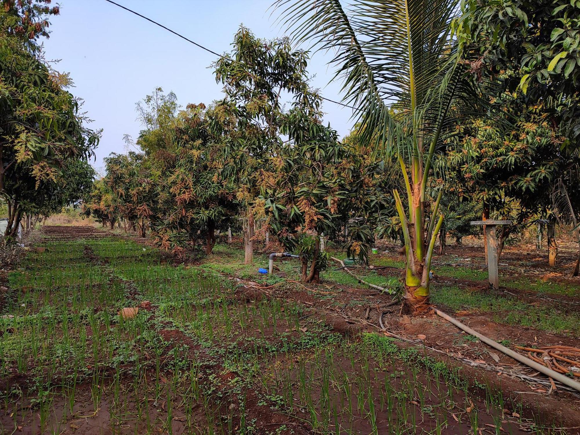 Van Vagdo Resort Rajpipla Luaran gambar