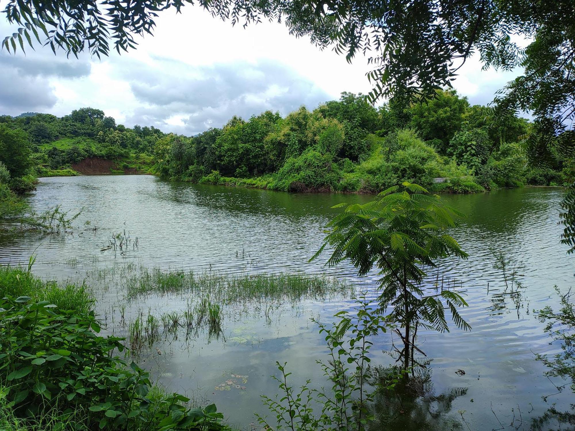 Van Vagdo Resort Rajpipla Luaran gambar