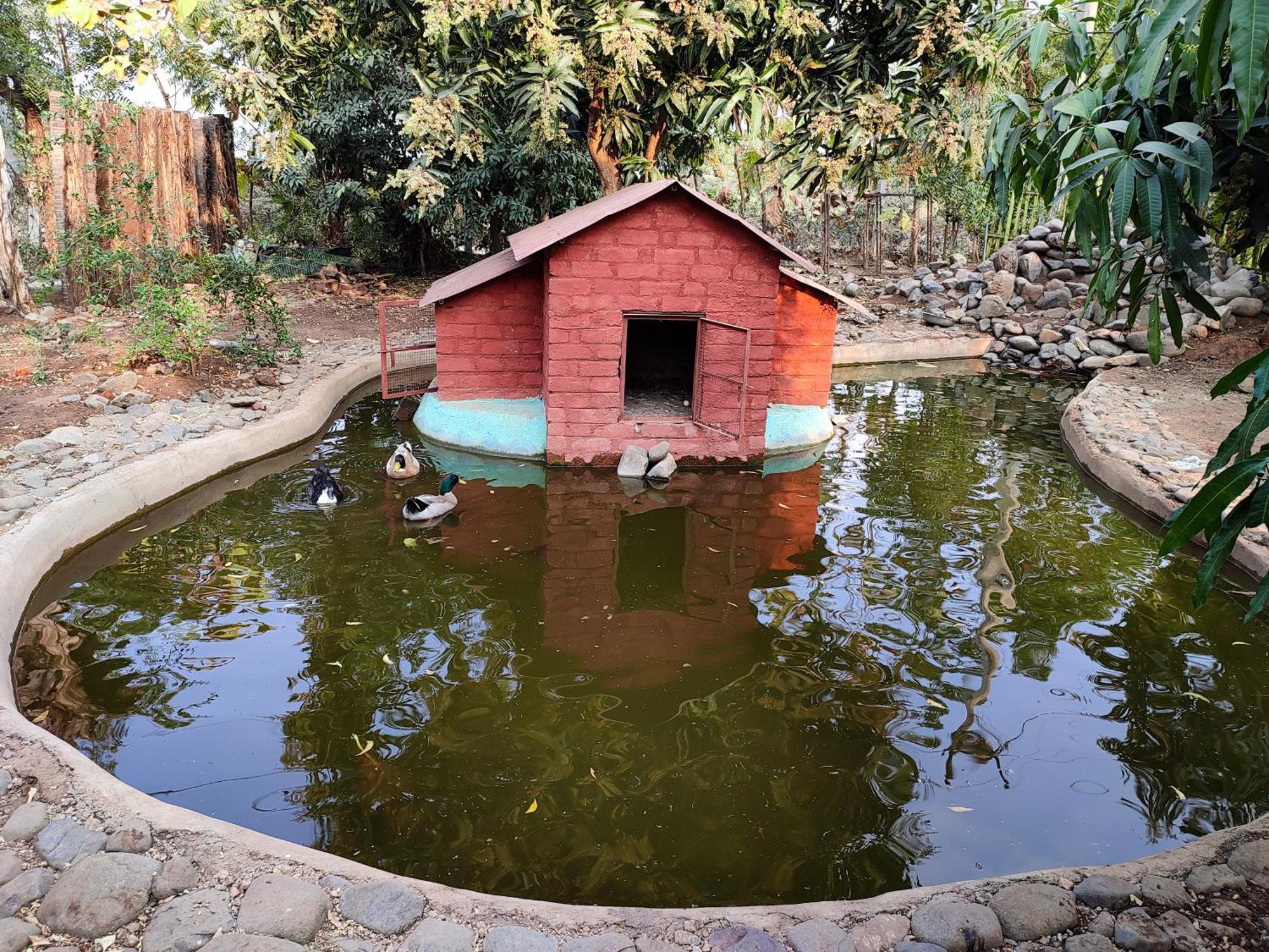Van Vagdo Resort Rajpipla Luaran gambar